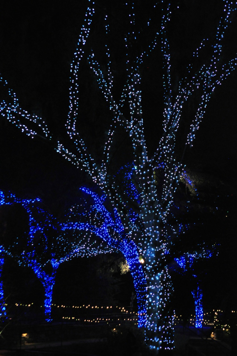 The ZooLights Experience delivers a synchronized lighting and sound show for Phoenix Zoo visitorss